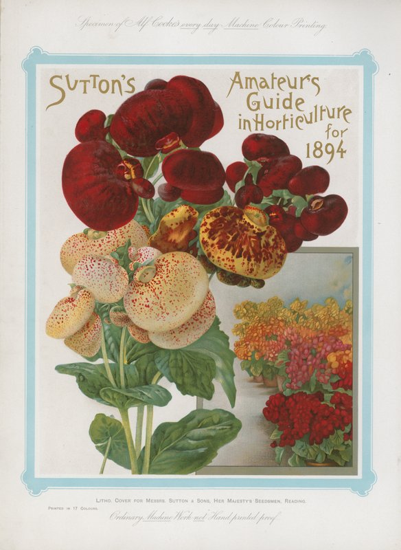Suttons Amateurs Guide in Horticulture pro rok 1894 od English School