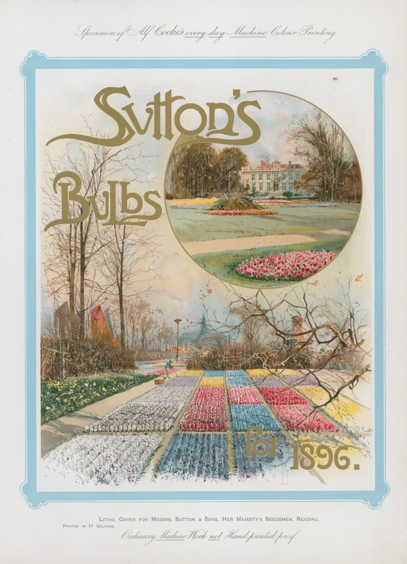 Suttons Bulbs pro rok 1896 od English School