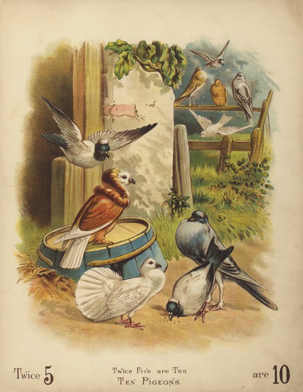 Deset holubů (chromolit) od English School