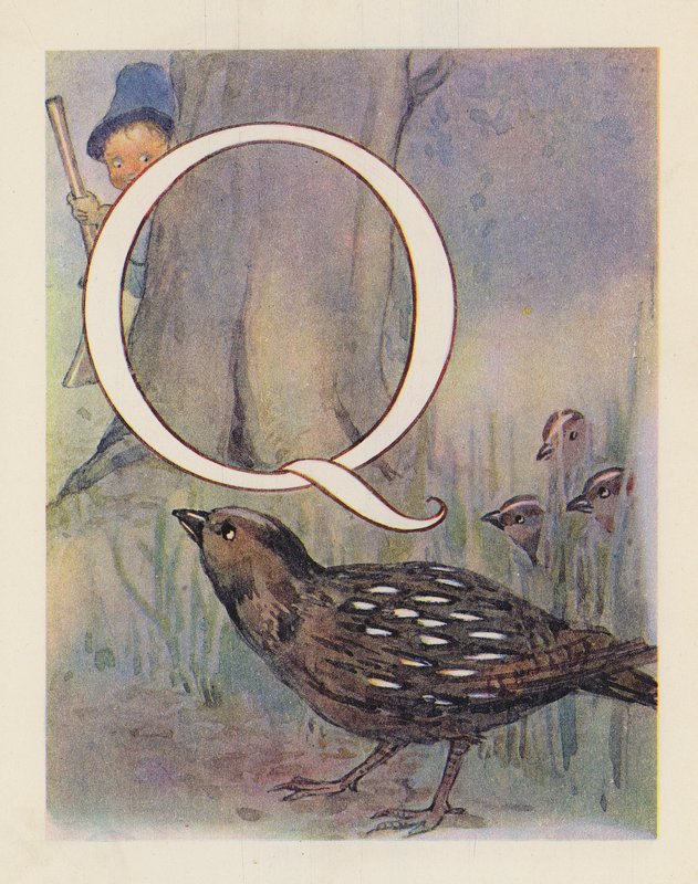ABC zvířat: (barevná litografie). od English School