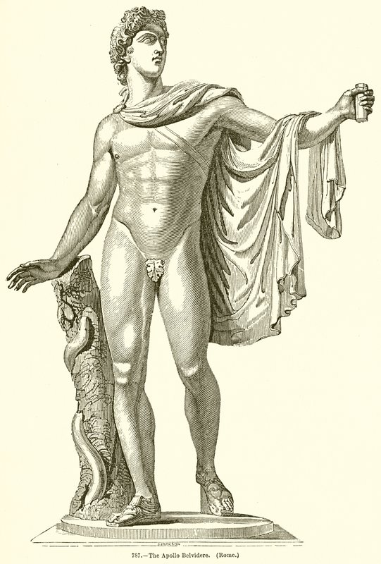 Apollo Belvidere. (Řím) od English School