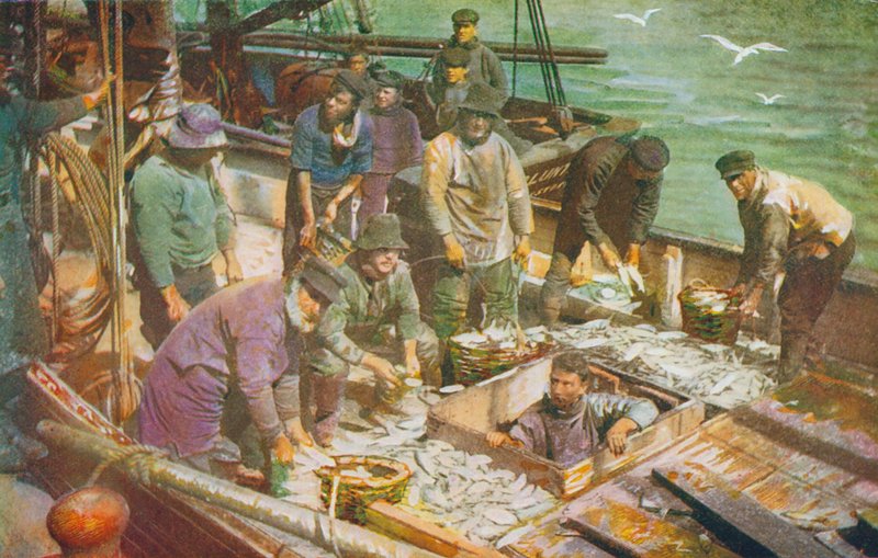 Příjezd rybářské lodi v Severním moři, vykládka úlovku (barevná litografie) od English School