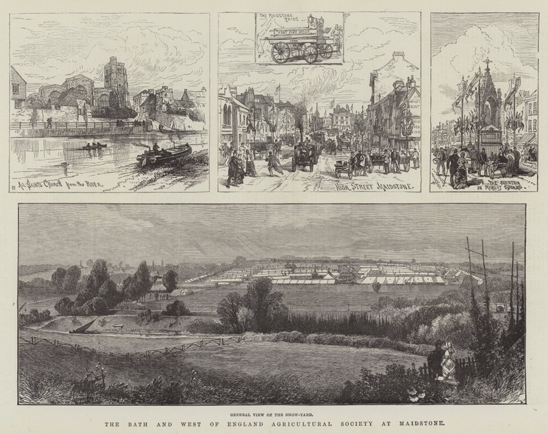The Bath and West of England Agricultural Society v Maidstone (rytina) od English School