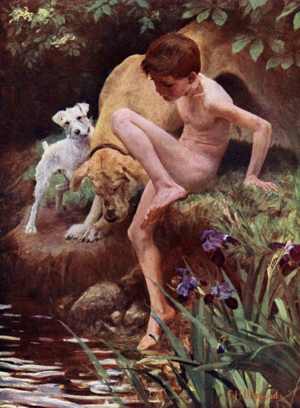 The Bathers - chlapec a psi při plavání od English School