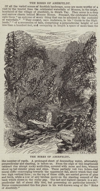 Birks of Aberfeldy (rytina) od English School
