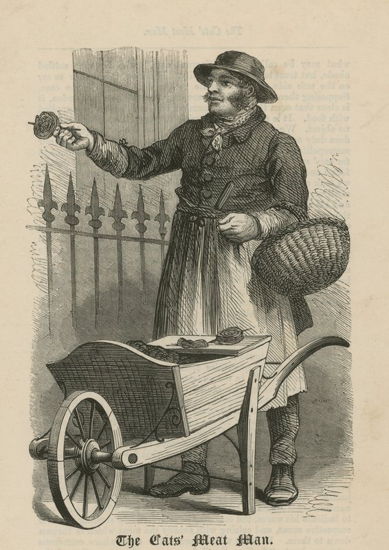 The Cats Meat Man od English School