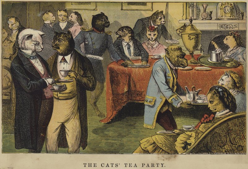 The Cats Tea Party od English School