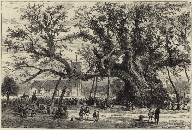 Dub Cowthorpe od English School