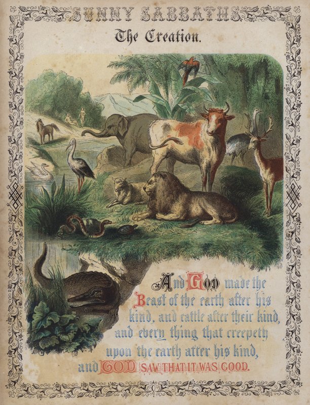 The Creation (barevná rytina) od English School