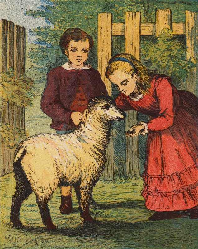 Jehně "Kukačka" (barevná litografie) od English School