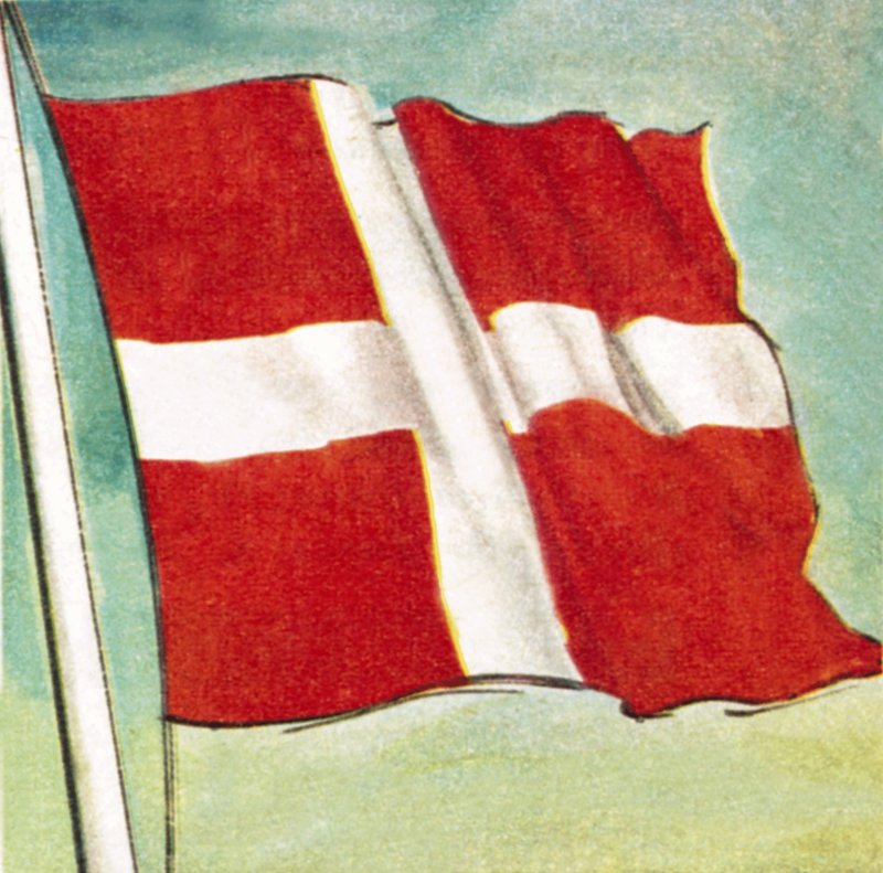 Dánská vlajka od English School
