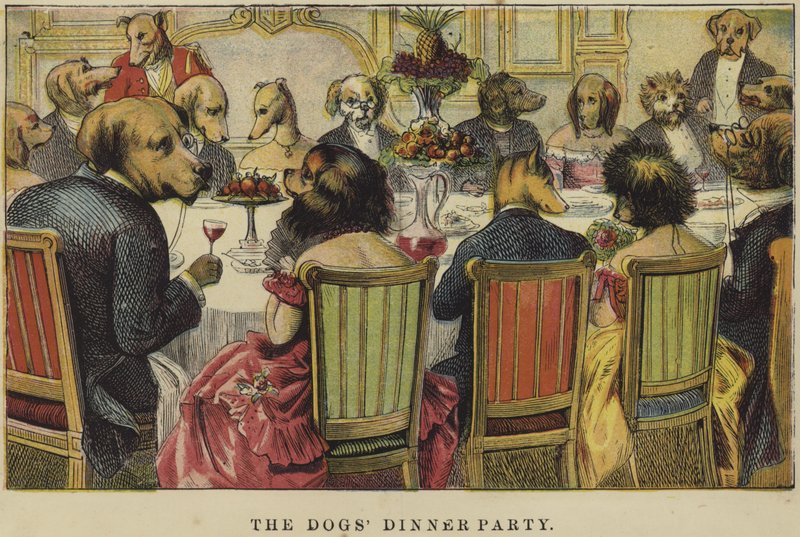 The Dogs Dinner Party od English School