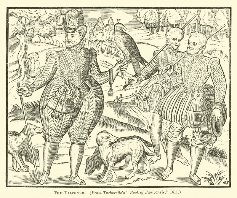 Falconer od English School
