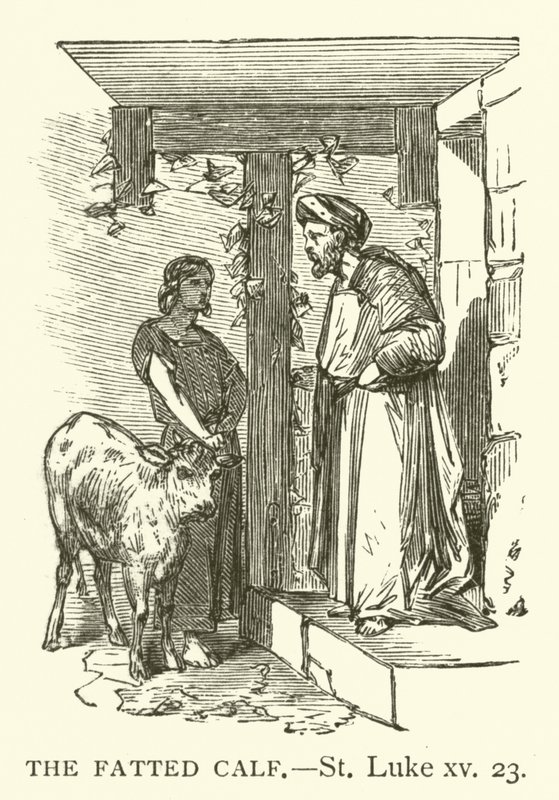 The Fatted Calf, St Luke, xv, 23 (rytina) od English School