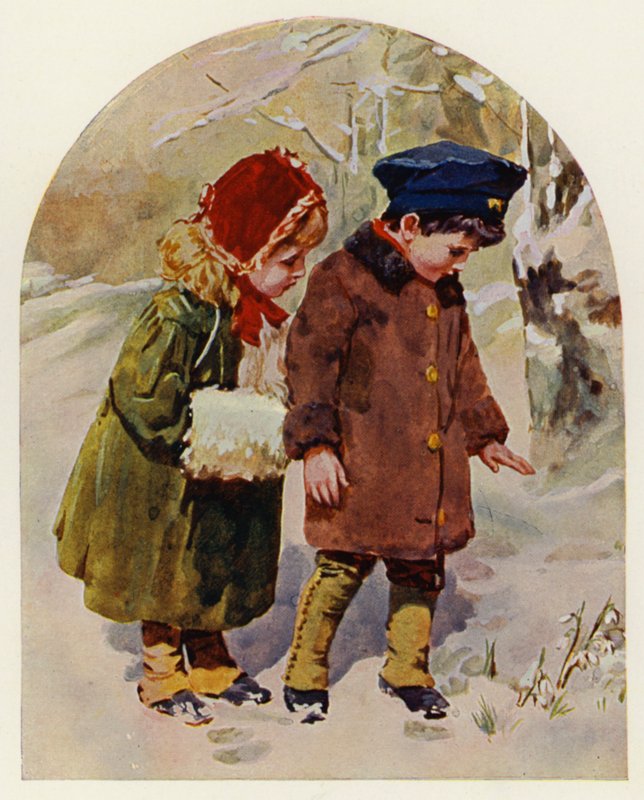 První sněženka (barevné lito) od English School
