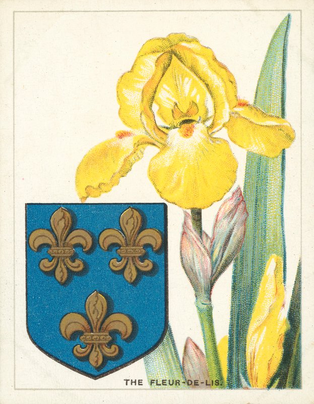 Fleur-de-lis (chromolit) od English School
