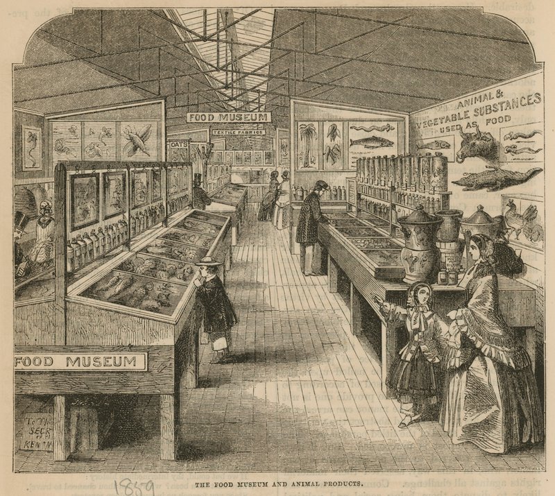 Muzeum potravin a živočišných produktů, South Kensington Museum od English School