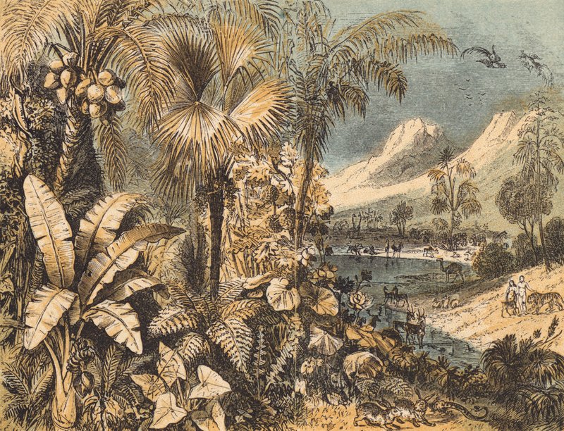 The Garden of Eden (barevná rytina) od English School