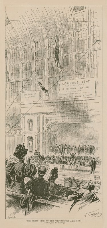 Velký ponor ve Westminsterském akváriu od English School