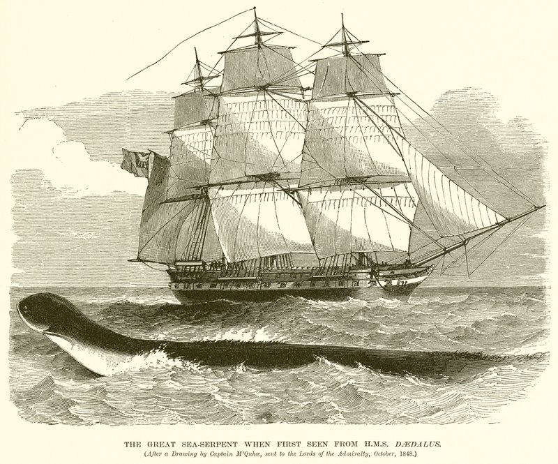Velký mořský had při prvním pohledu z H.M.S. Daedalus od English School