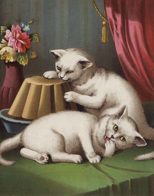 Lakomé kotě (chromolitho) od English School