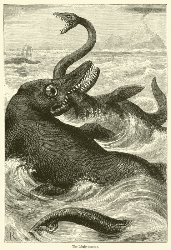 Ichtyosaurus (rytina) od English School