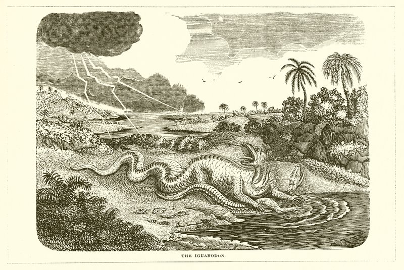 Iguanodon od English School