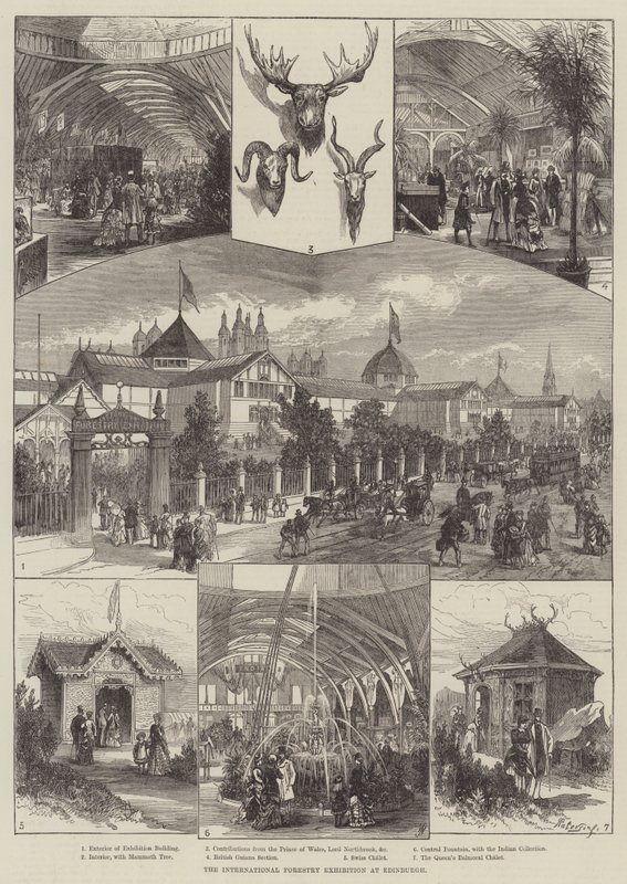 Mezinárodní lesnická výstava v Edinburghu (rytina) od English School