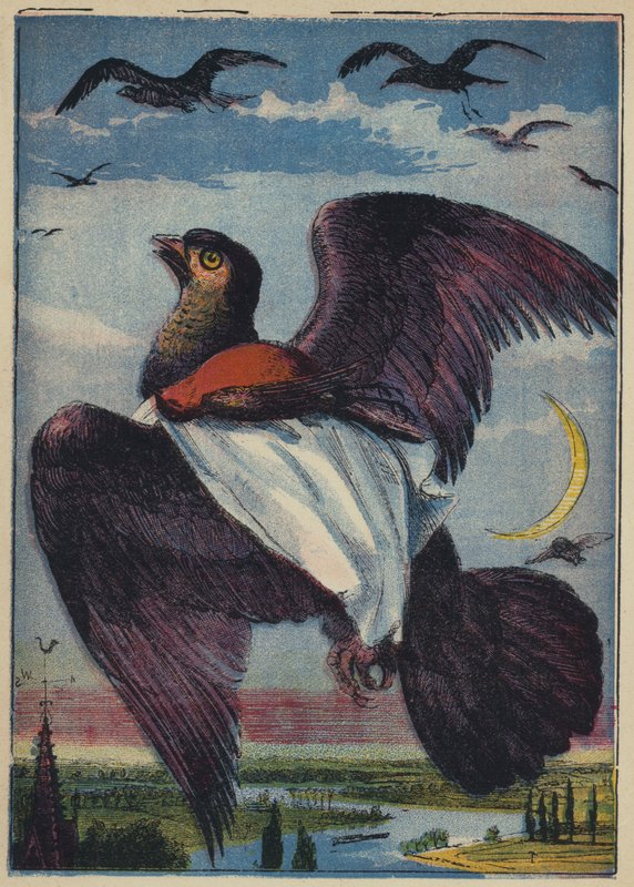 Drak a kohout Robin (barevná litografie) od English School