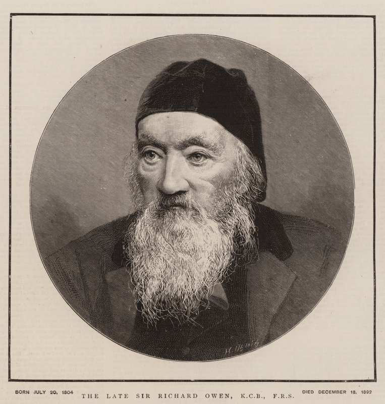 Zesnulý Sir Richard Owen, KCB, FRS (rytina) od English School