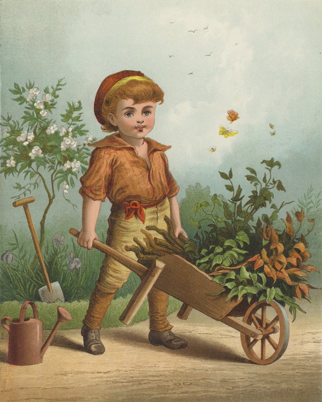 Malý zahradník (chromolitho) od English School