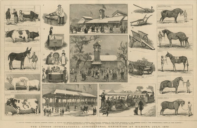Londýnská mezinárodní zemědělská výstava v Kilburn, červenec 1879 od English School
