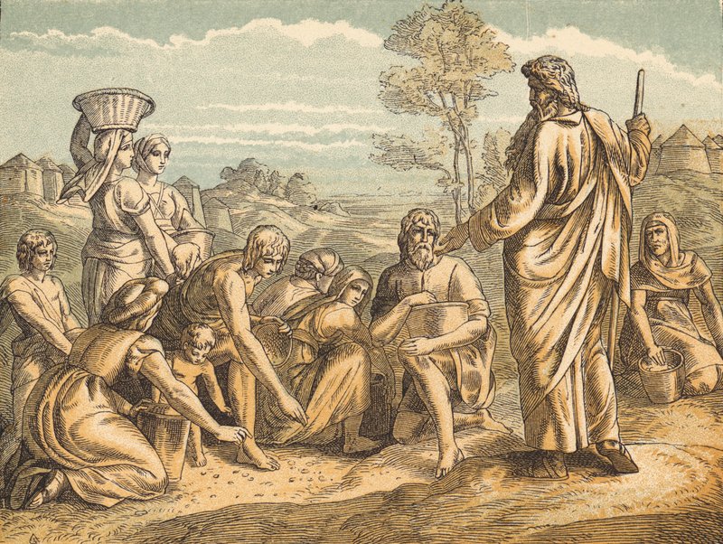The Manna (barevná rytina) od English School