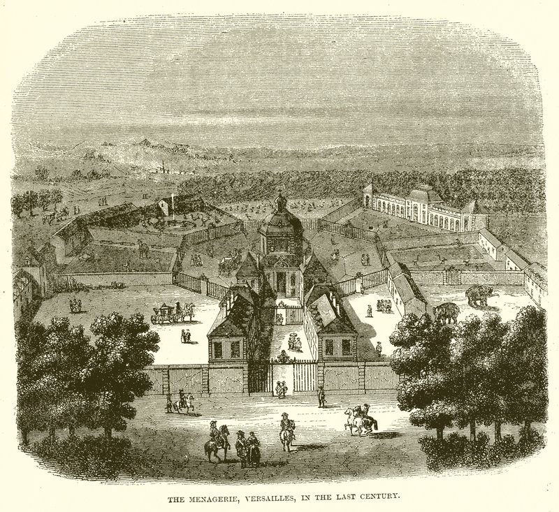 Zvěřinec, Versailles, v minulém století od English School