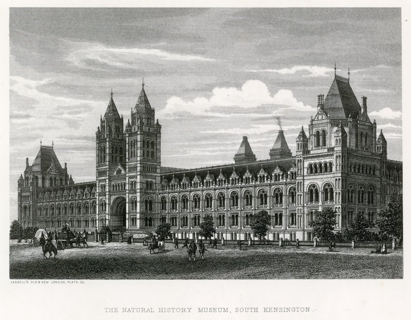 Přírodovědné muzeum, 1881 od English School
