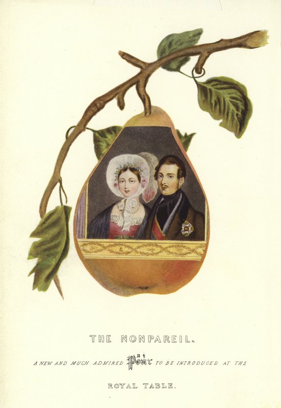 Nonpareil s portréty královny Viktorie a prince Alberta od English School