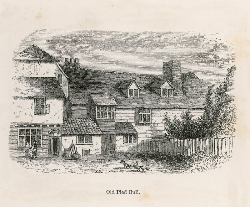 The Old Pied Bull (zadní) od English School