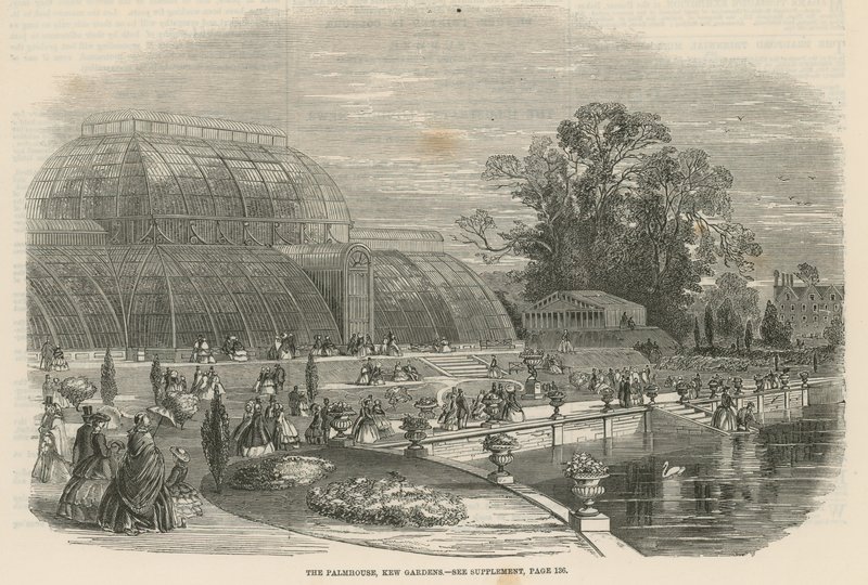 The Palm House, Kew Gardens, Londýn od English School