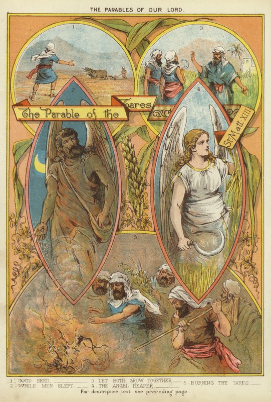 Podobenství o Kristu: Podobenství o plevelu (chromolitho) od English School