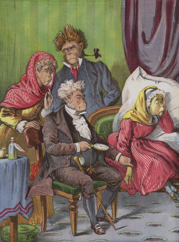 lékař (chromolitho) od English School