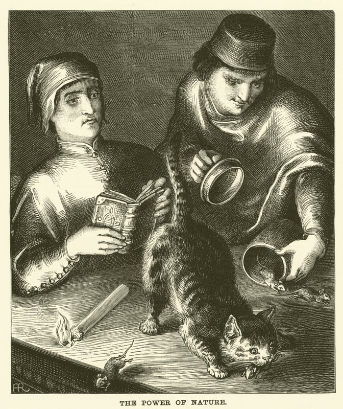 Síla přírody (rytina) od English School
