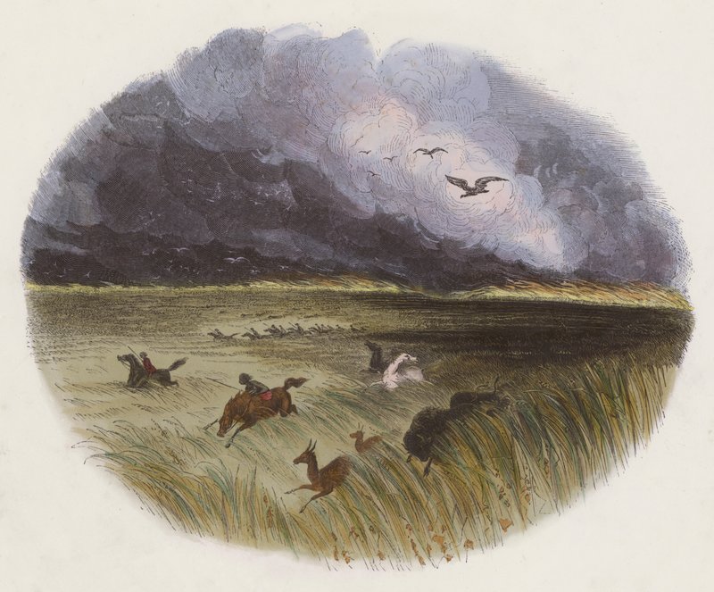 The Prairie on Fire (barevná rytina) od English School