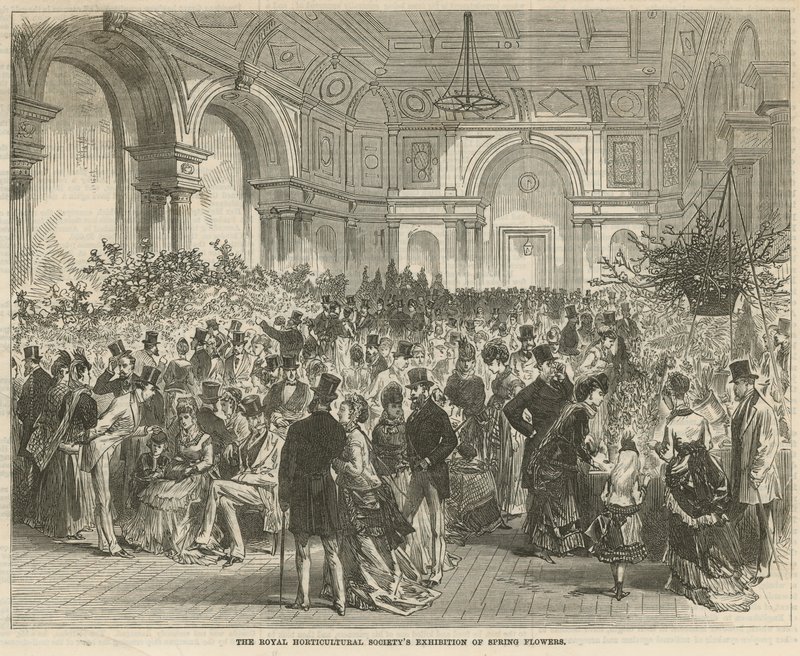 Výstava jarních květin Royal Horticultural Society od English School