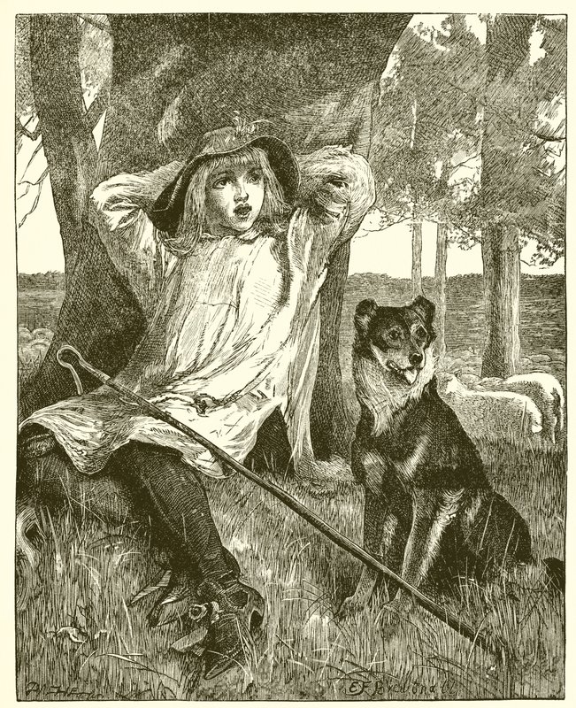 The Shepherd Boy od English School