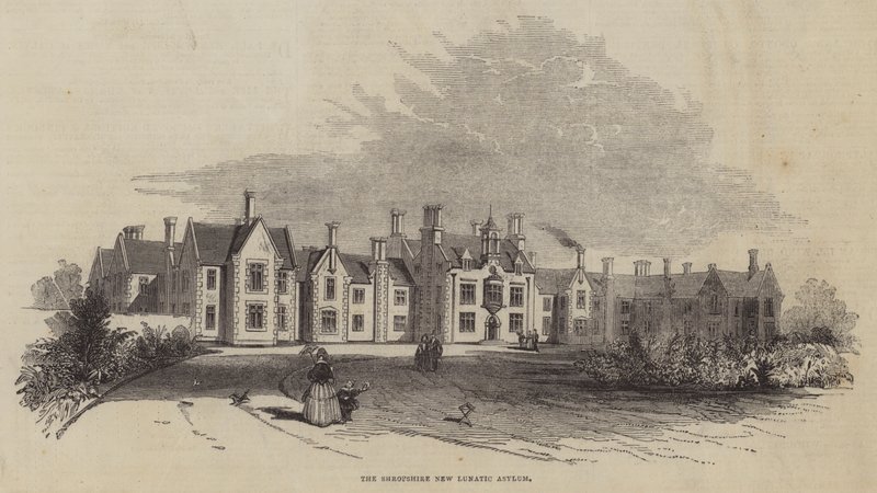Shropshire New Lunatic Asylum od English School