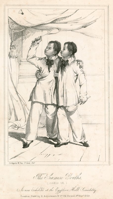 The Siamese Youths (ve věku 18 let), nová výstava v Egyptian Hall, Piccadilly od English School