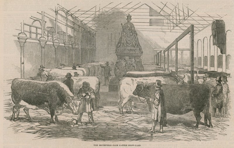 Smithfield Club Cattle Show Yard od English School