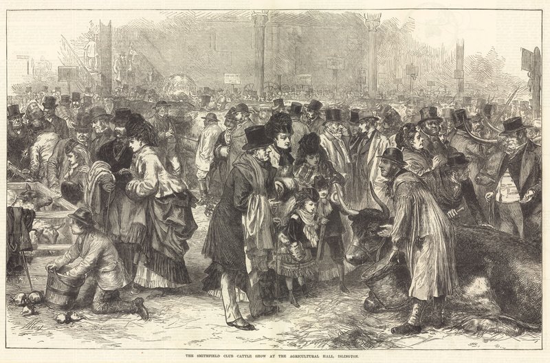 Smithfield Club Cattle Show v Agricultural Hall, Islington od English School