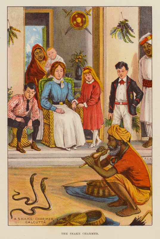 Zaklínač hadů (barva lito) od English School