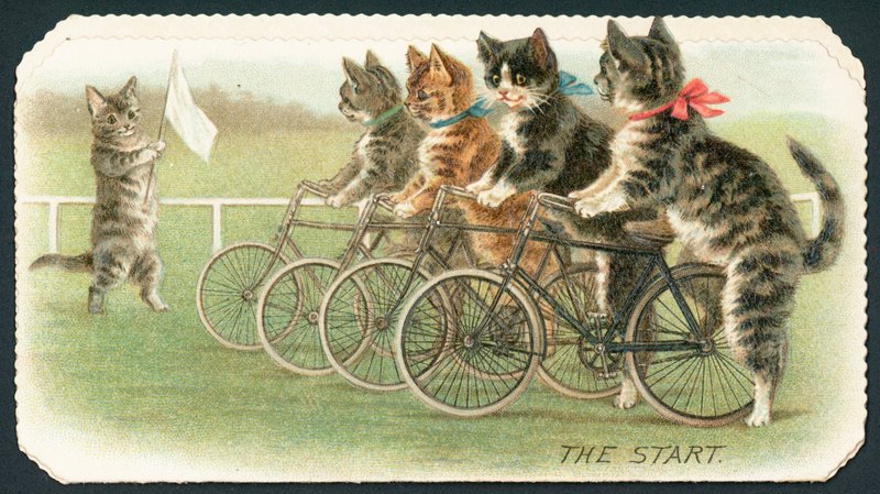Start, Kočičí cyklistický závod, vánoční přání od English School